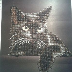 Meet your Posher, Rosemary